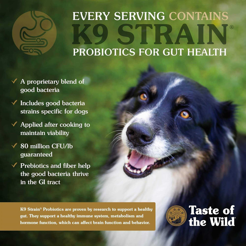 Dog Food V9083