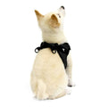 Dog Harness P394464