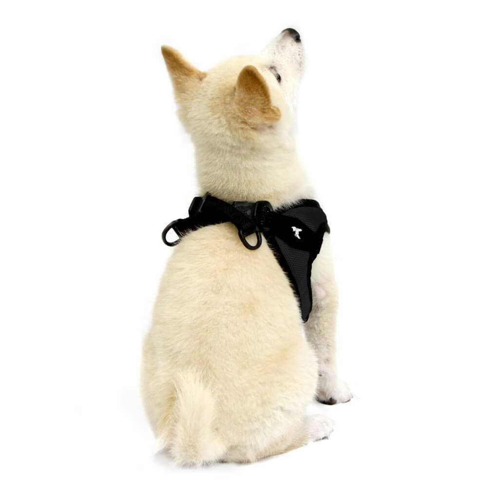 Dog Harness P394464