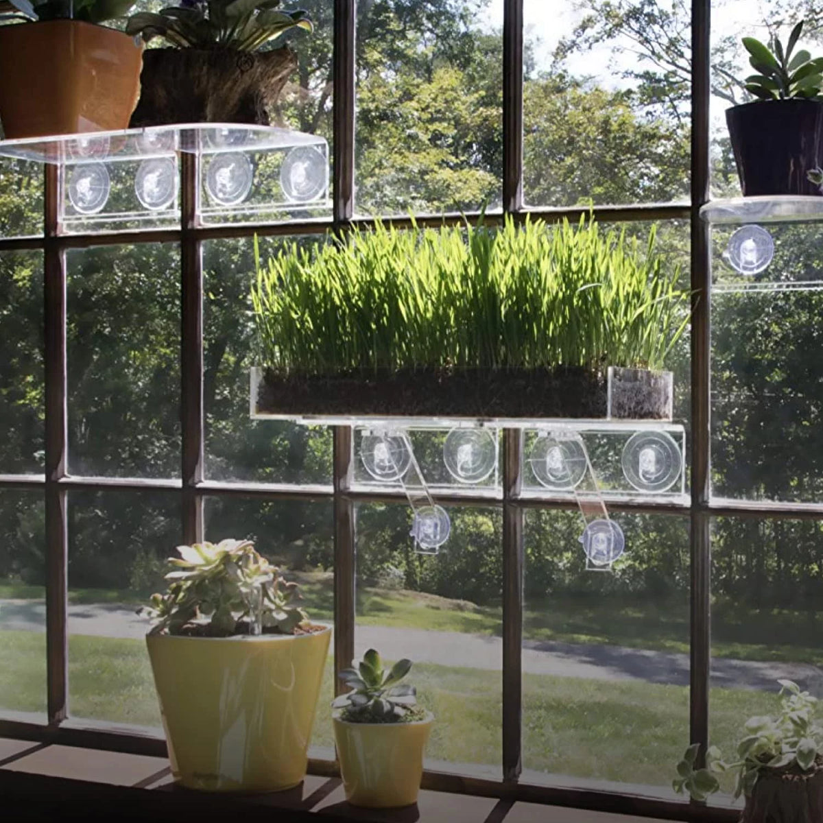 Clear Acrylic Window Shelf for Plants U59304