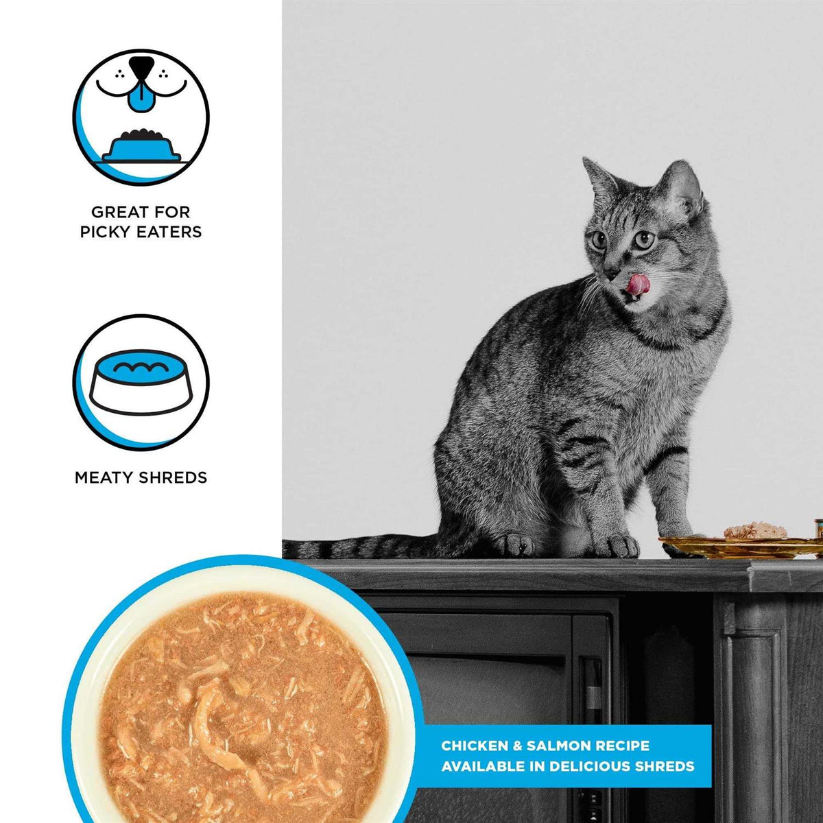 Chicken Recipe Shredded Canned Cat Food T733