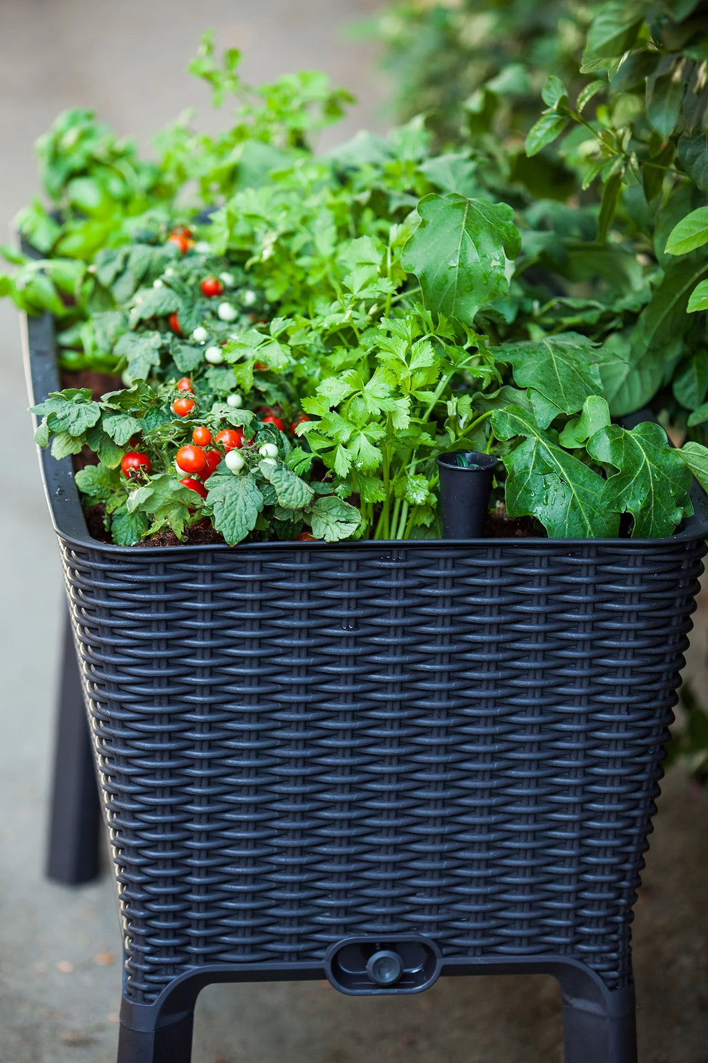 Raised Garden Bed with Self-Watering and Drainage System M70972