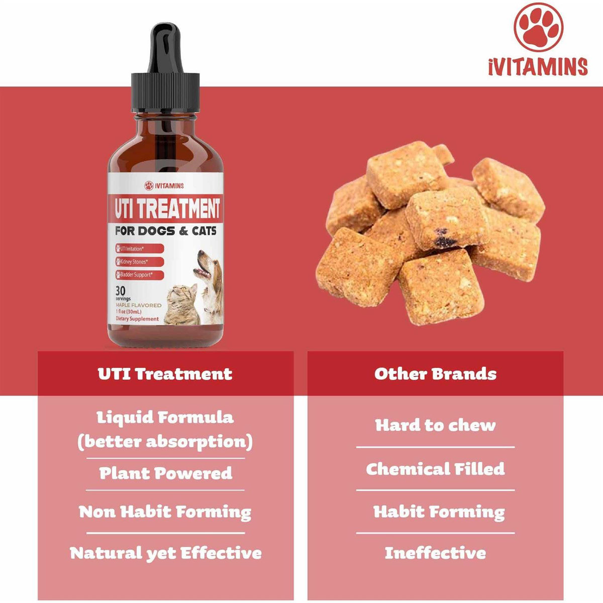 Pumpkin Cranberry Dog UTI Supplement H80012