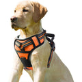 Padded Reflective Dog Harness M18137