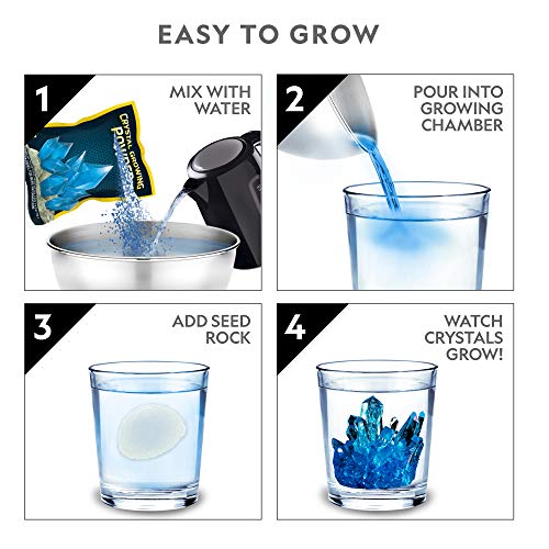Crystal Growing Kit with Light-Up Stand U6857