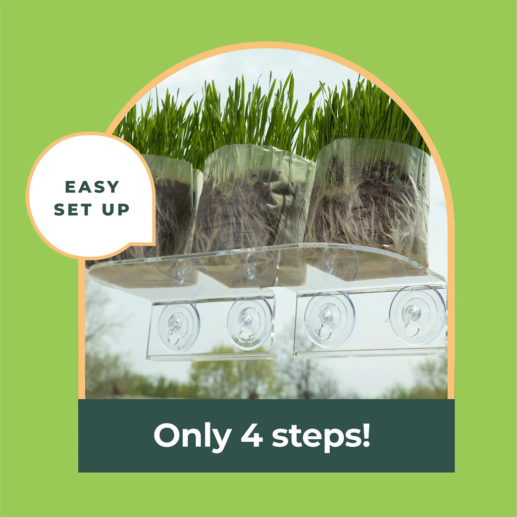 Clear Acrylic Window Shelf for Plants U59304