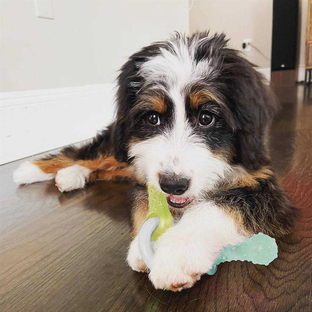 Puppy Chew Teething Pacifier Toy O963