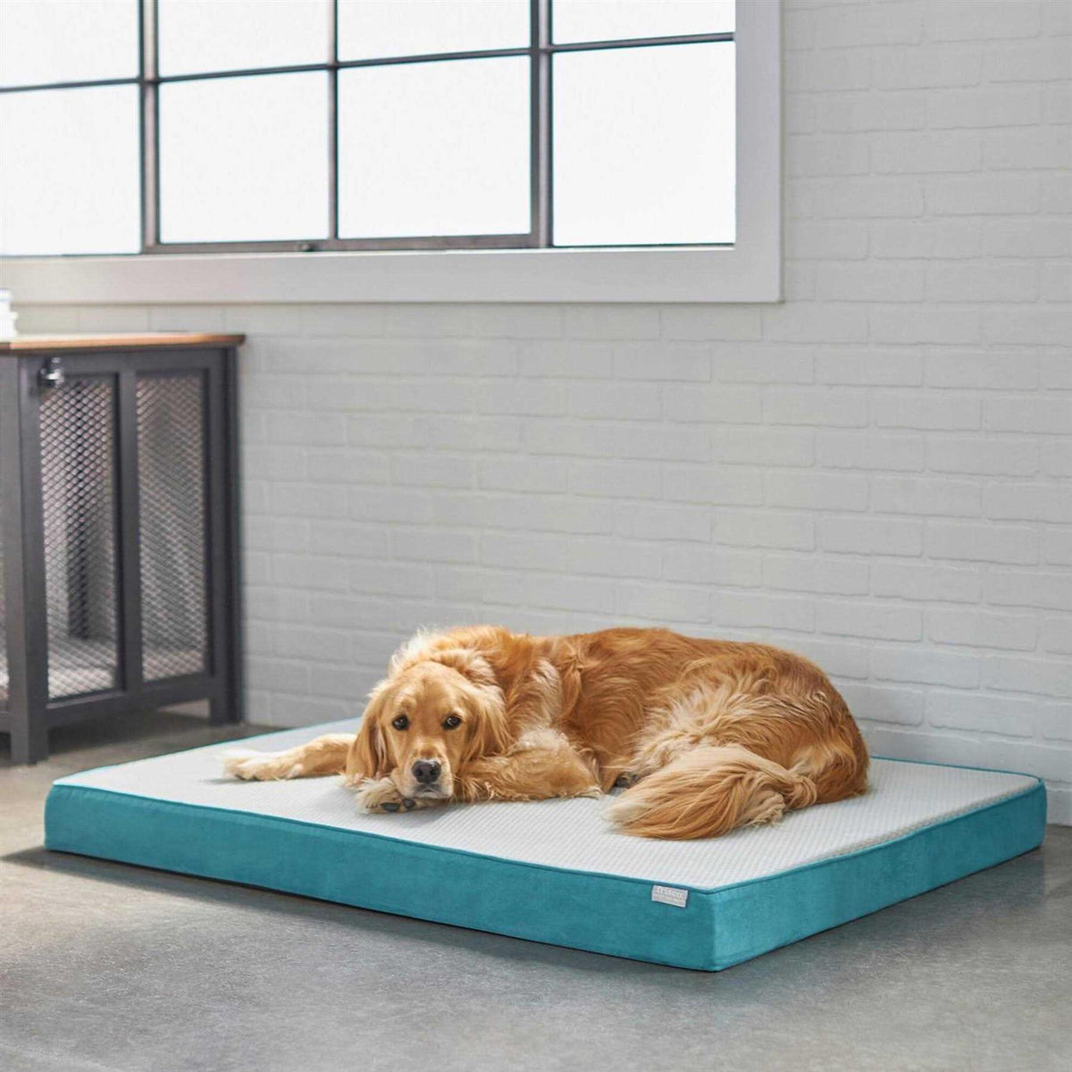 Large Cooling Orthopedic Dog Bed with Removable Cover T633604