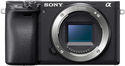Compact APS-C Mirrorless Camera with 4K Video I40736