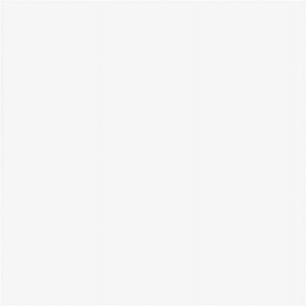 Queen Murphy Bed and Closet Organizer in White I824662