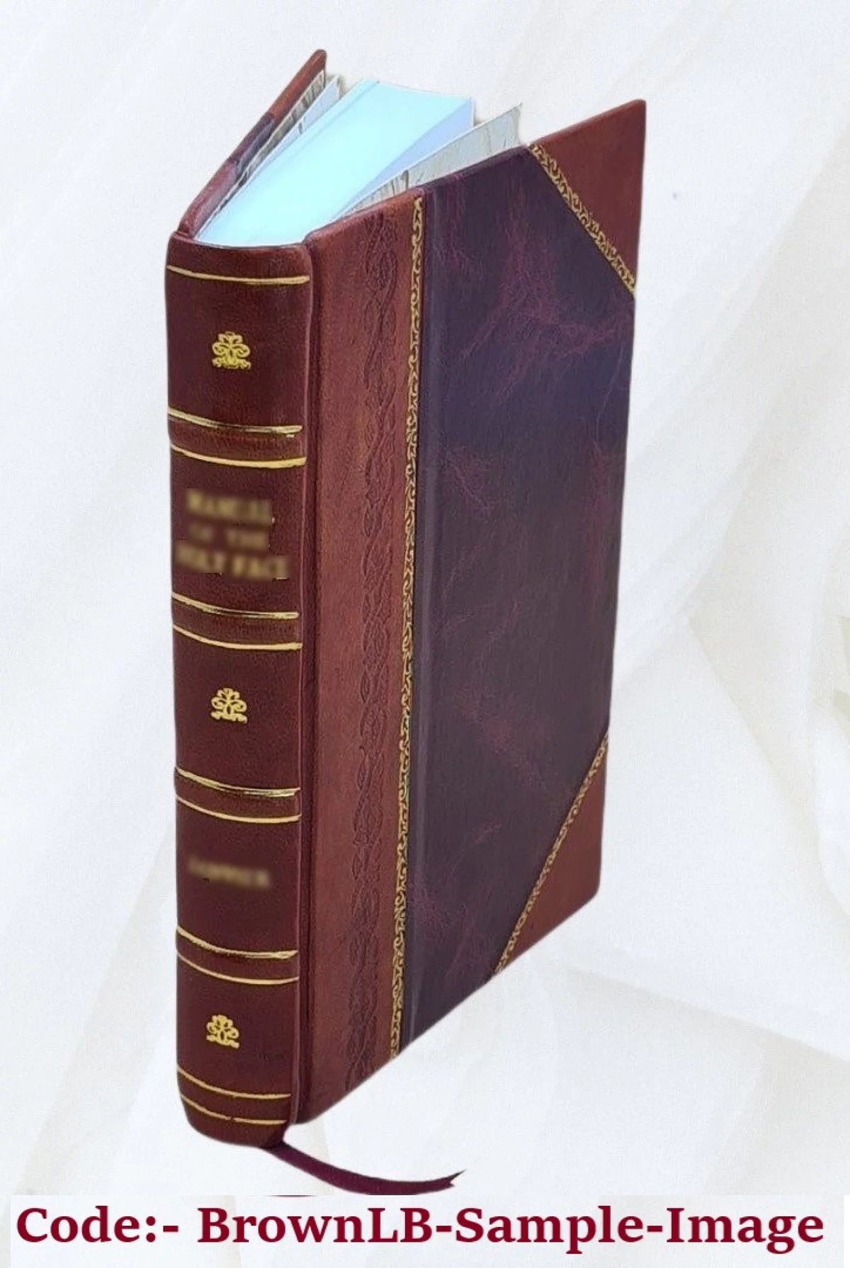 Spanish Novelists Anthology Leather Bound L1447