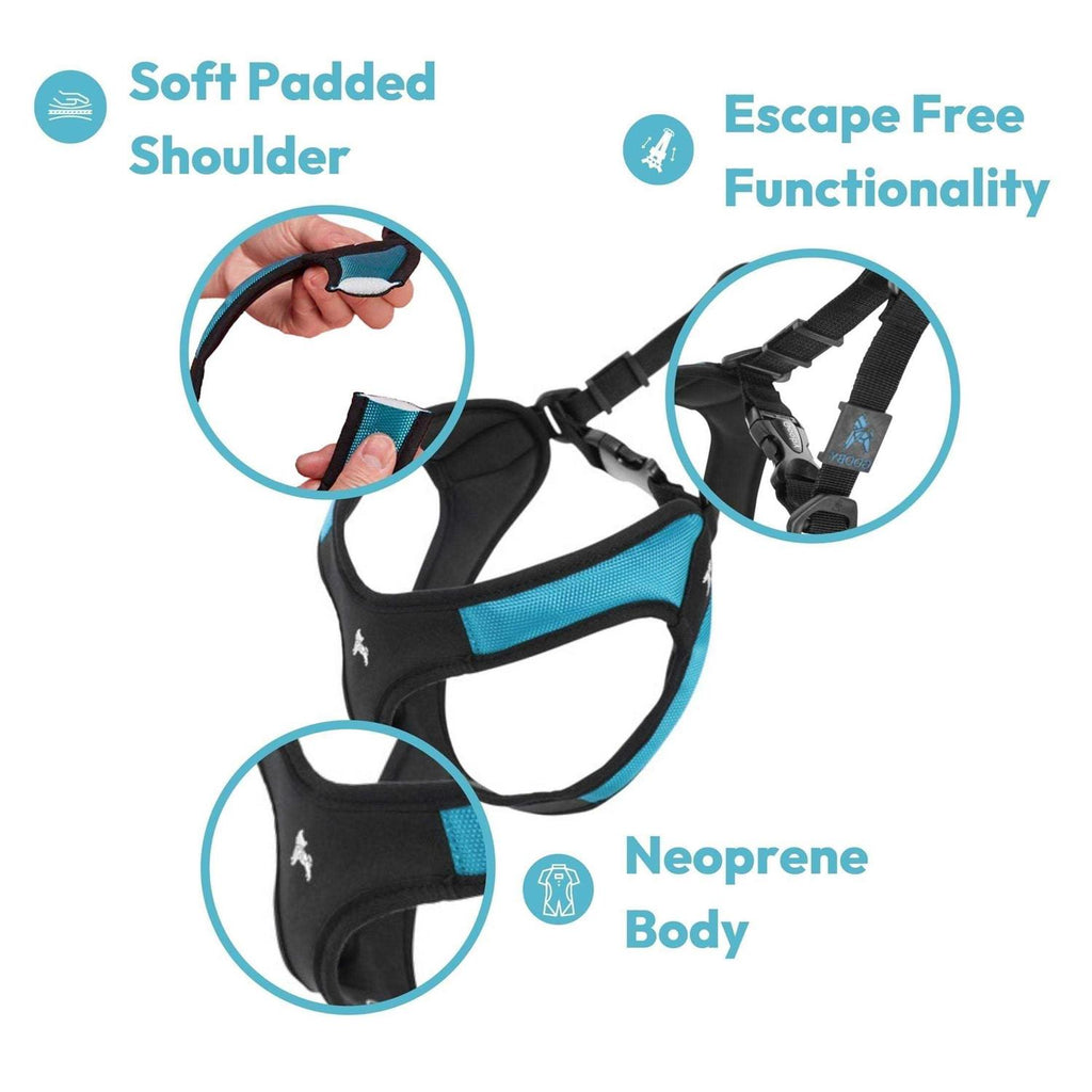 Dog Harness P394464