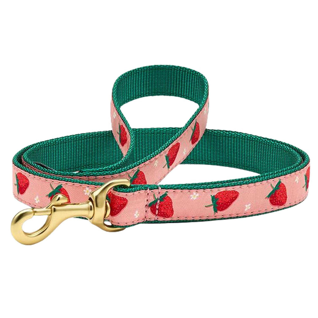 Strawberry Fields Dog Collar D1008