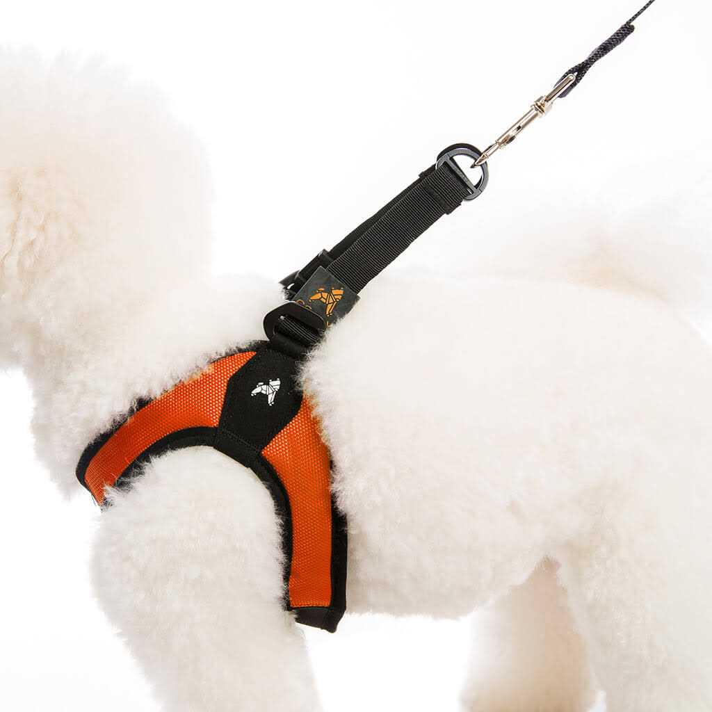 Dog Harness P394464