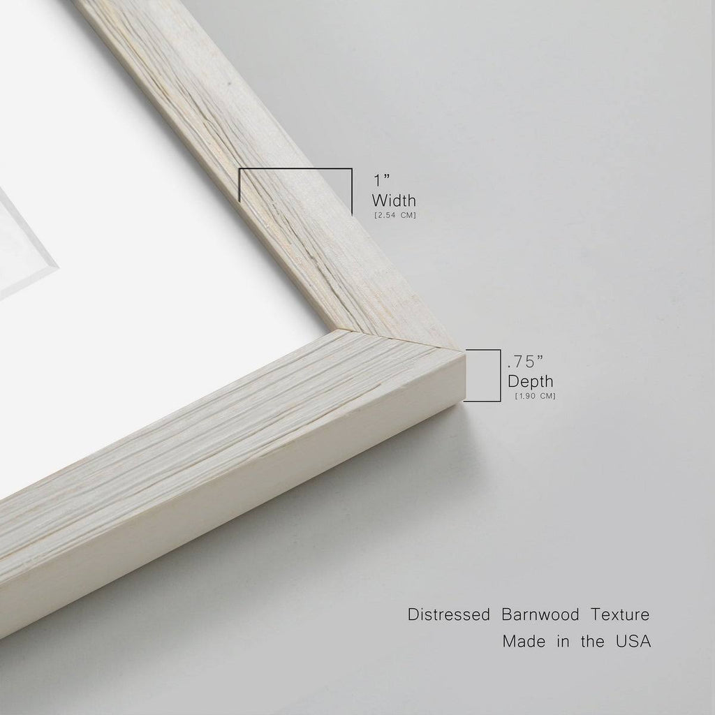 Framed Print S328958