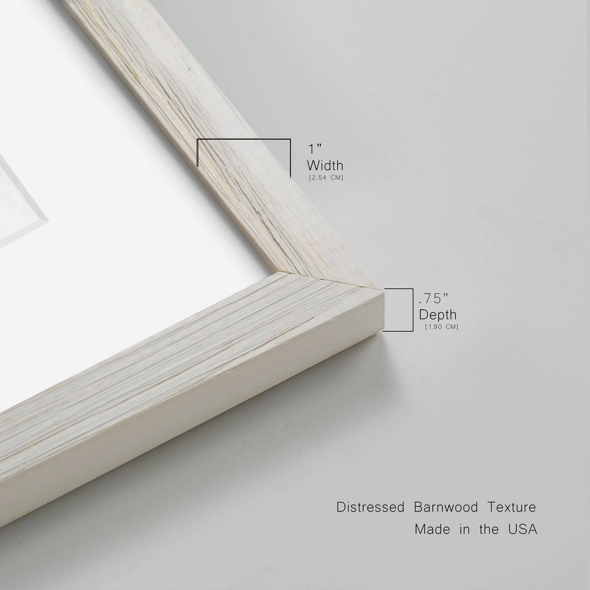 Framed Print S328958
