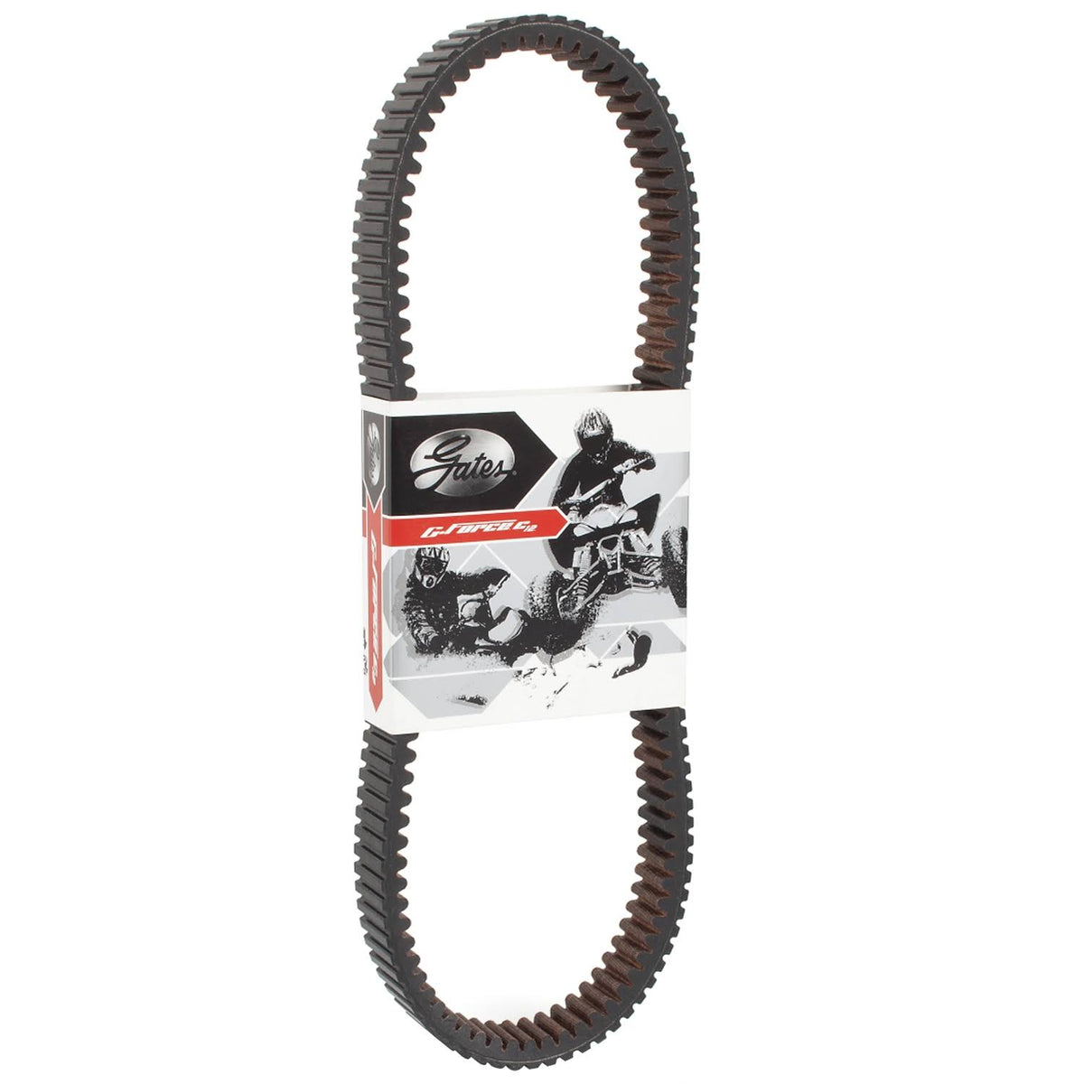 Carbon Cord CVT Belt S147743