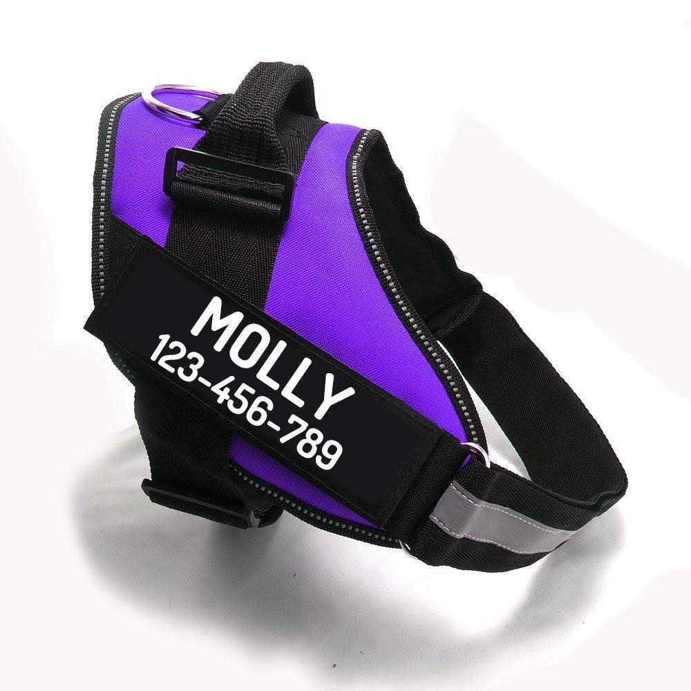 No Pull Dog Harness O828018