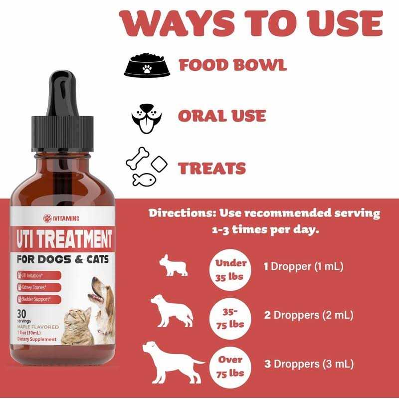Pumpkin Cranberry Dog UTI Supplement H80012