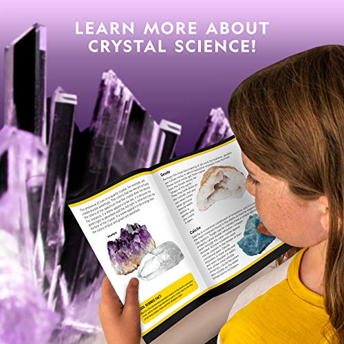 Crystal Growing Kit with Light-Up Stand U6857