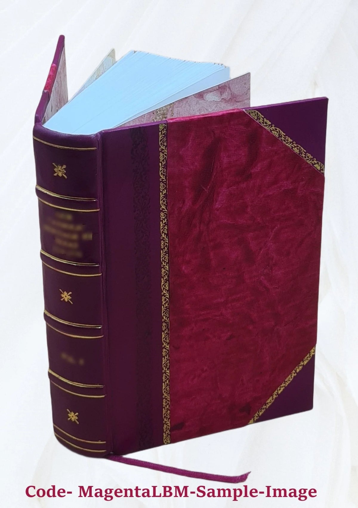 Leather Bound Historical Topographic Account A973463