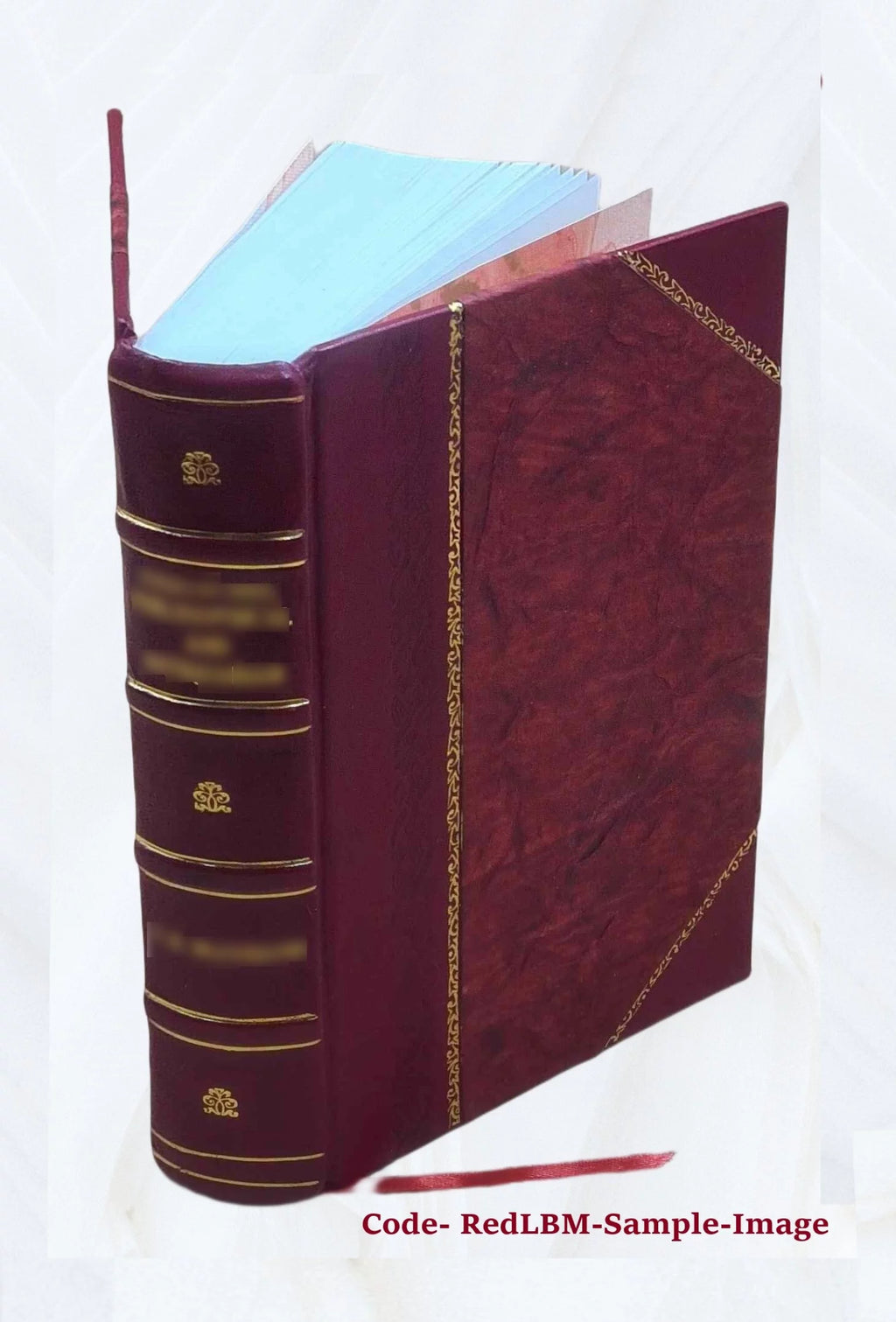 Leather Bound Historical Topographic Account A973463