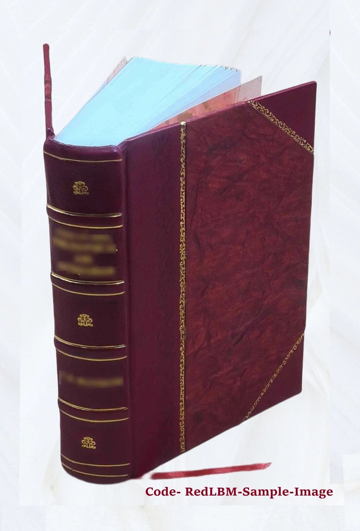 Leather Bound Historical Topographic Account A973463