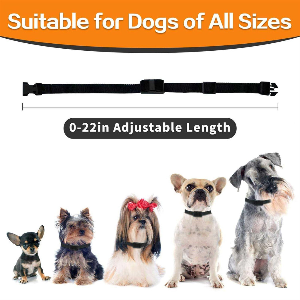Dog Training Collar with Remote M19869