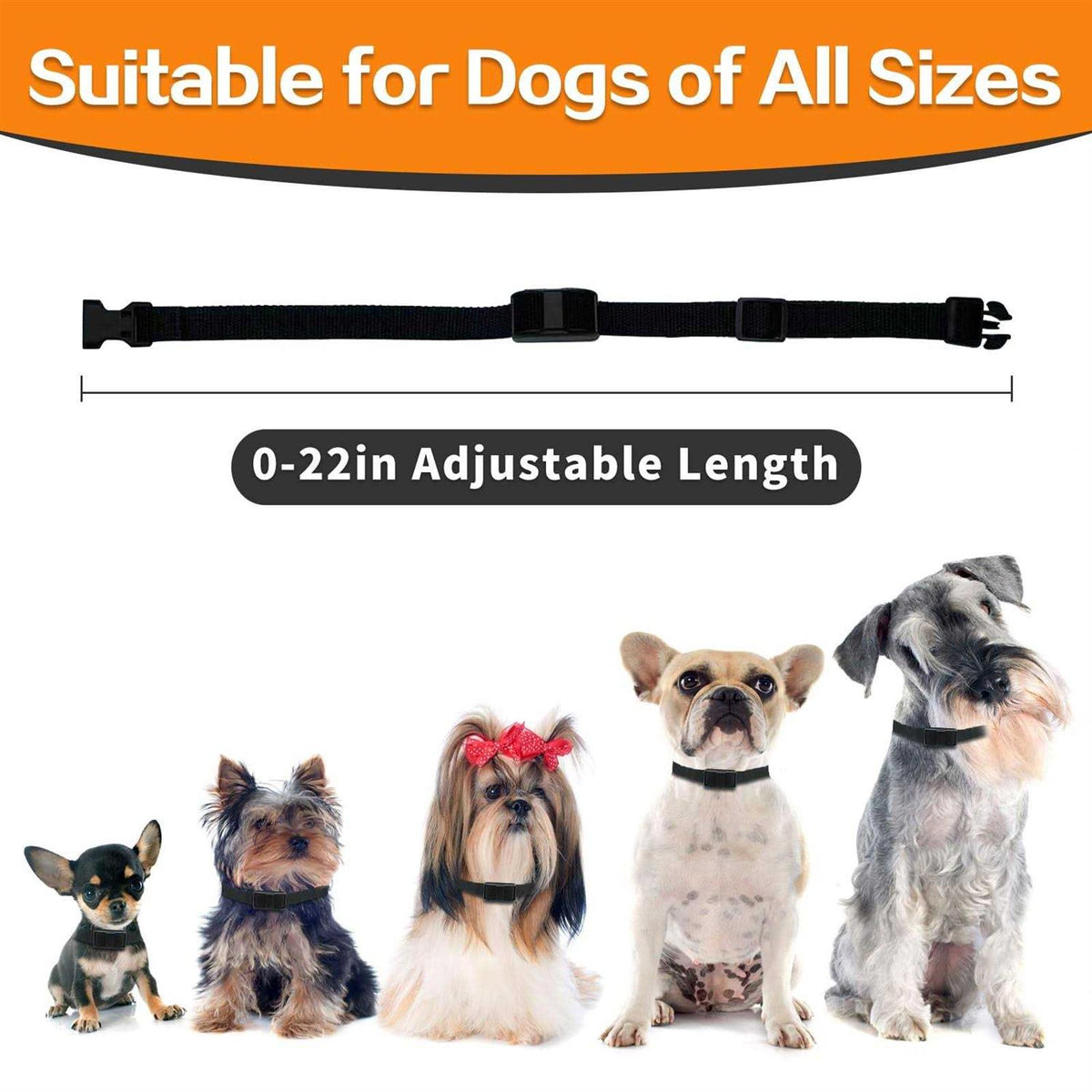 Dog Training Collar with Remote M19869