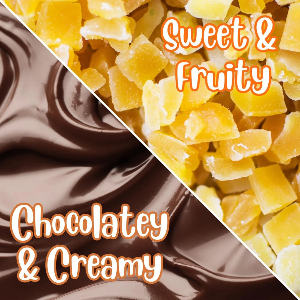 Dark Chocolate Covered Dried Mango 5 Lbs Bulk Bag Z5069