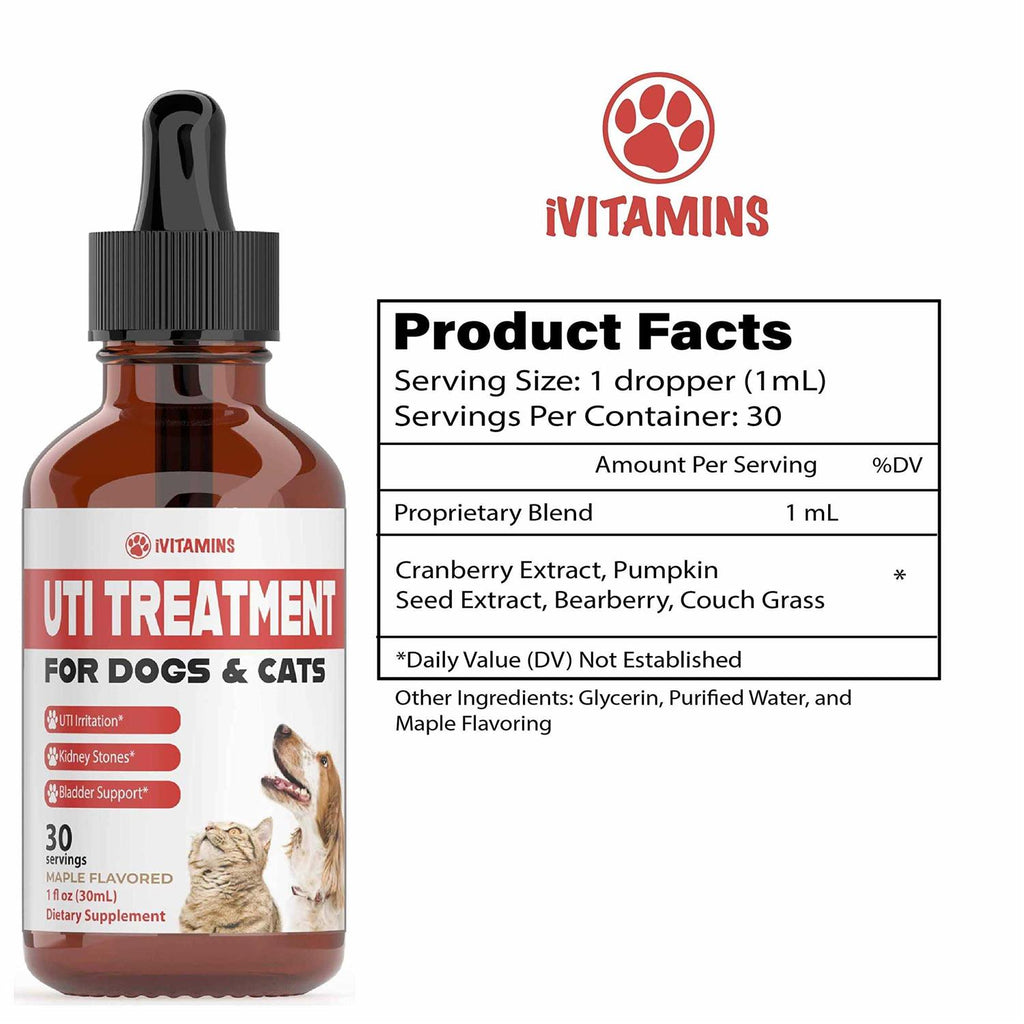 Pumpkin Cranberry Dog UTI Supplement H80012