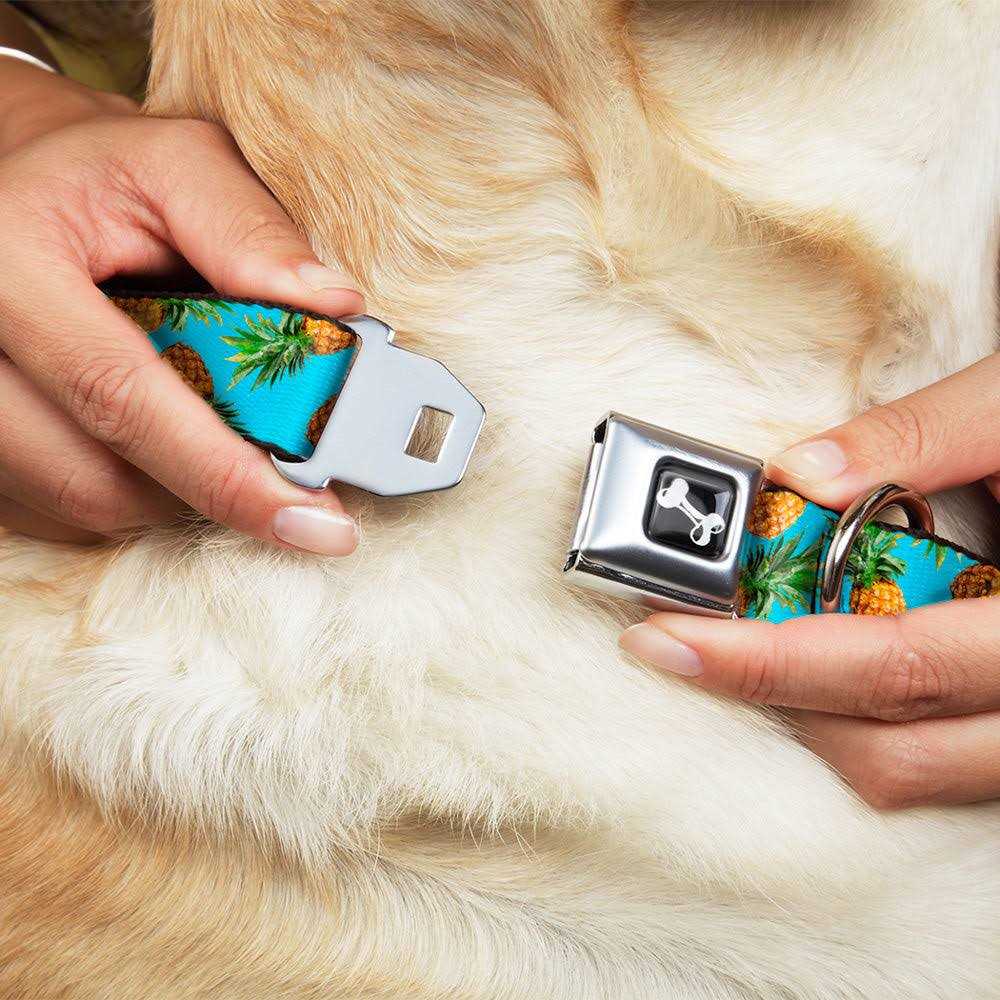 Dog Collar Seatbelt Buckle M2968
