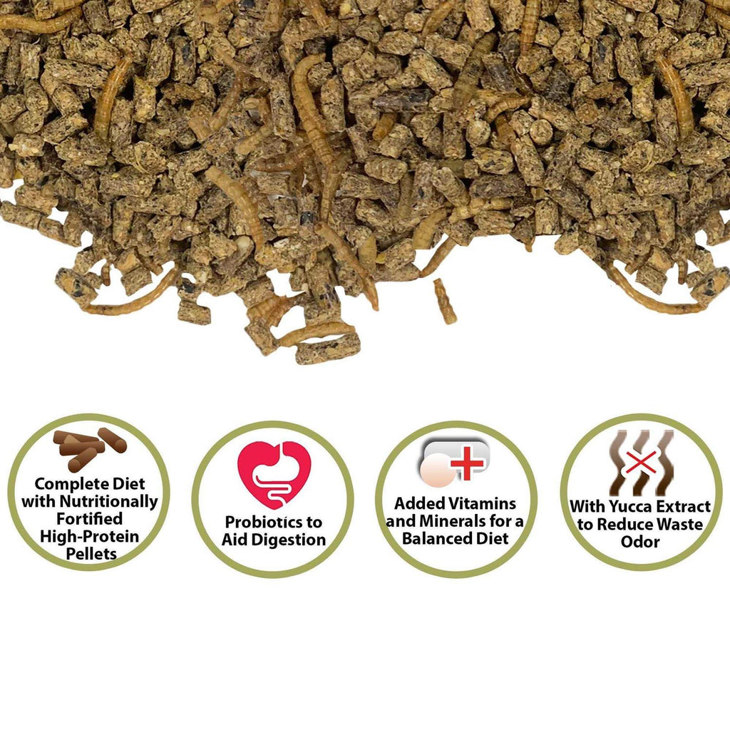 Complete Hedgehog Food O429