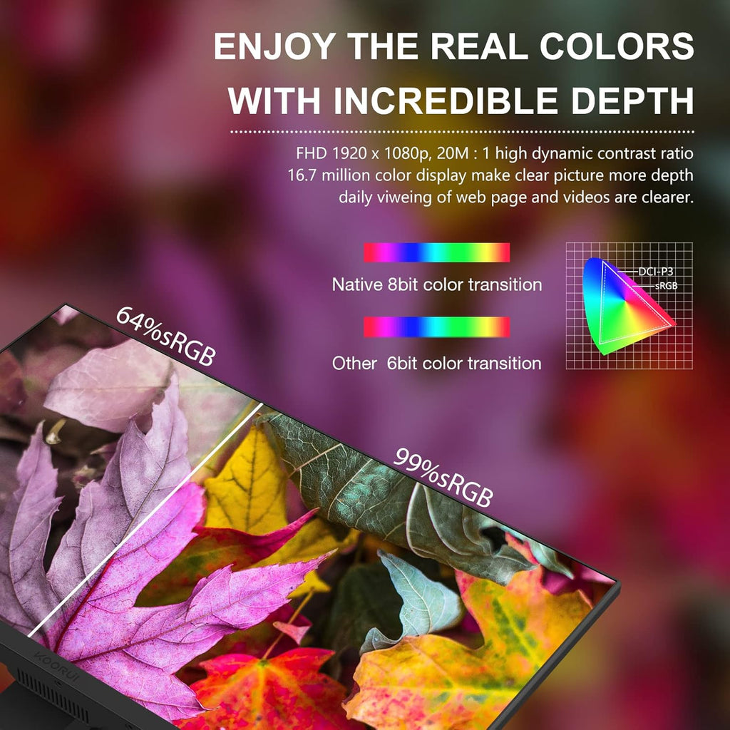 23.8 Inch FHD 1080p IPS 75Hz Computer Monitor B209783