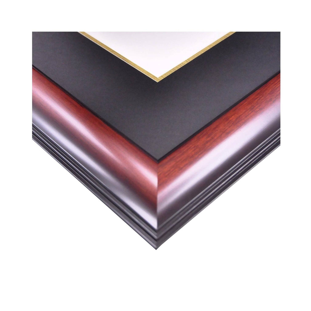 Gold Embossed Diploma Frame with Campus Images Lithograph F772