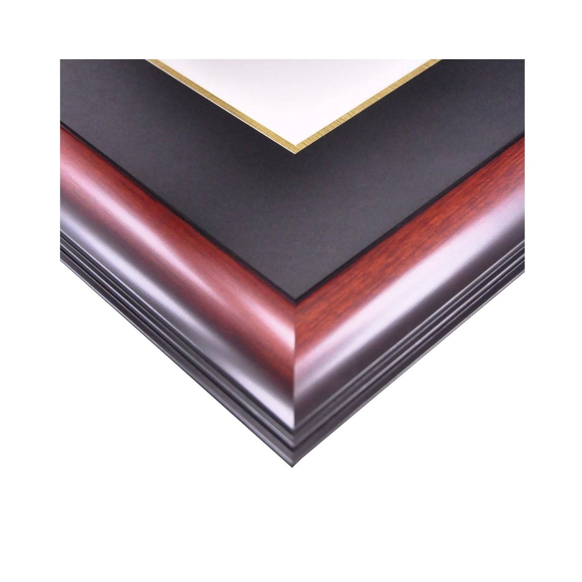 Gold Embossed Diploma Frame with Campus Images Lithograph F772