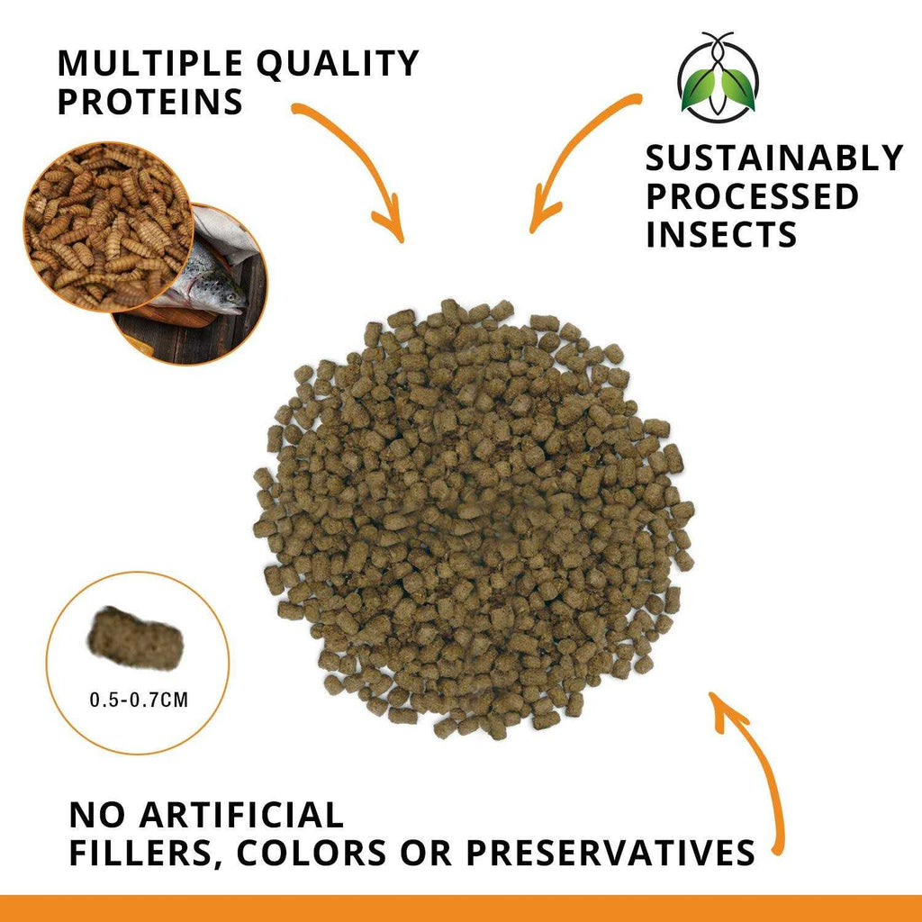 Bug Bites Goldfish Formula Pellets for Medium-Large Fish A415