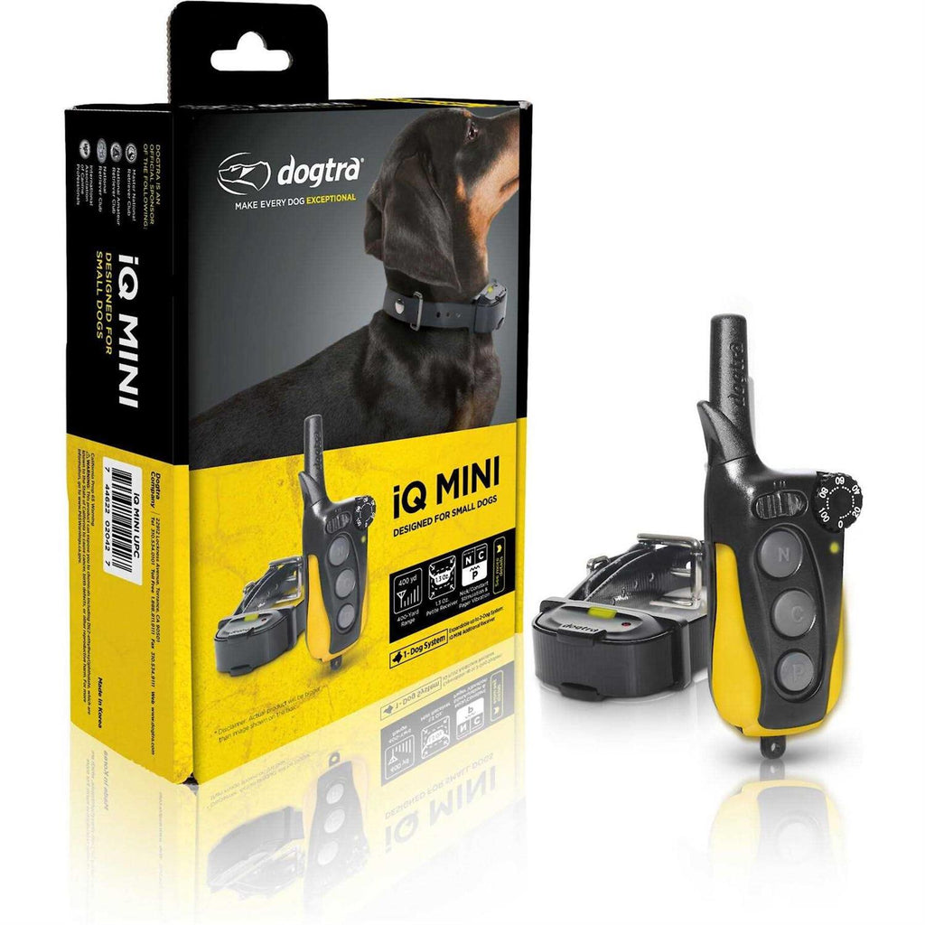 Dog Training Collar O815