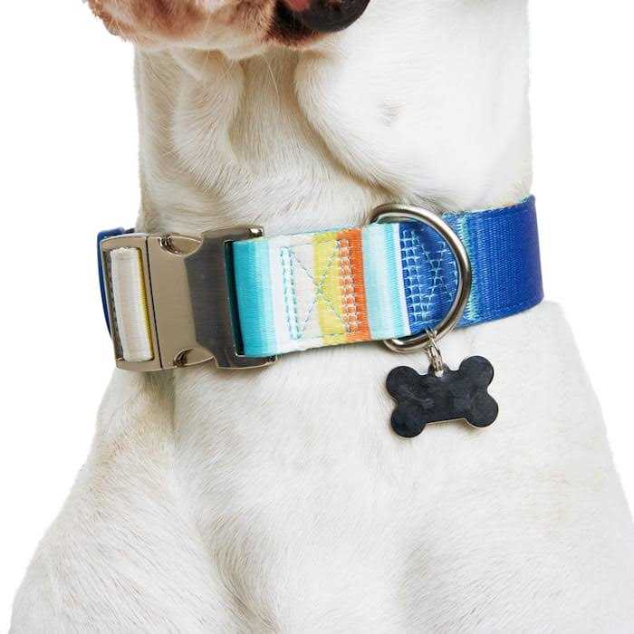 Reflective Dog Collar Y3352