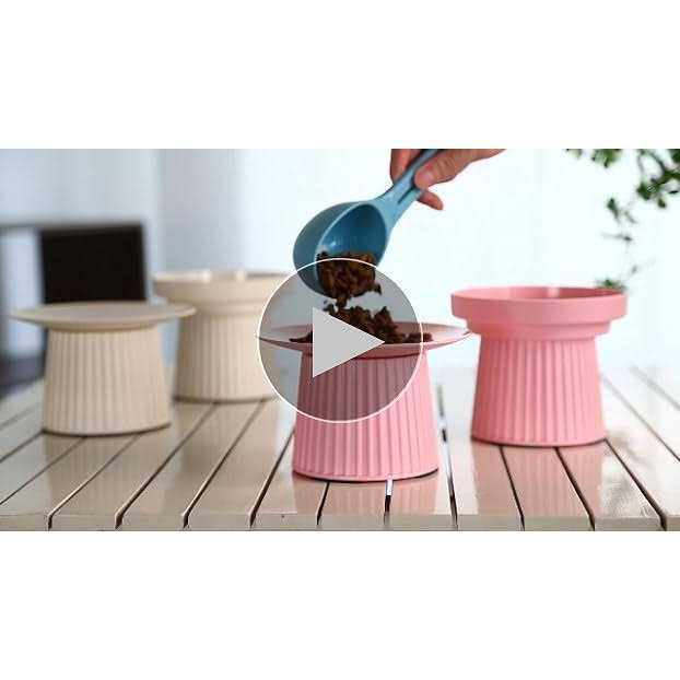 Elevated Cat Food and Water Bowl Set P9443