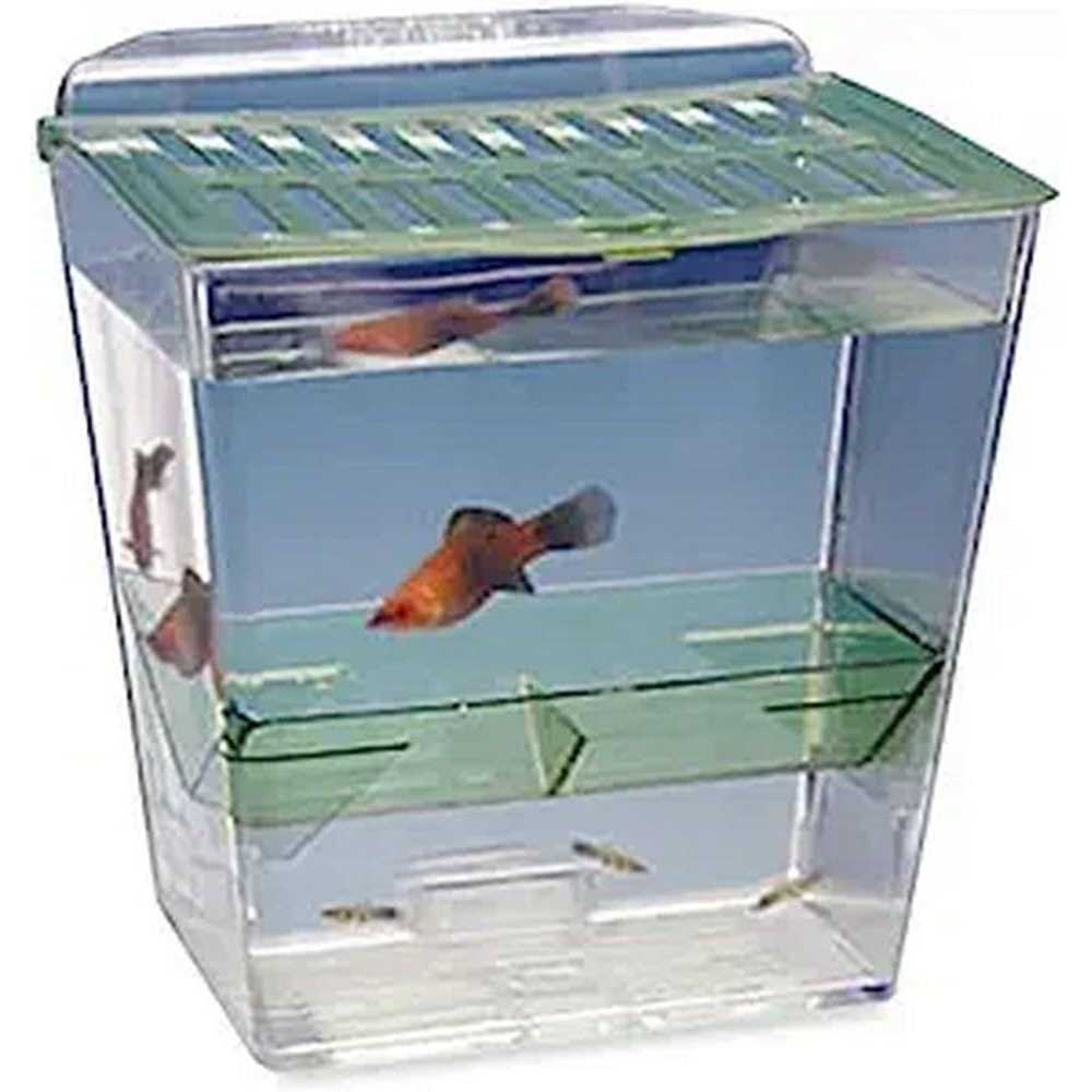 Pet Supplies A146