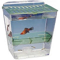 Pet Supplies A146