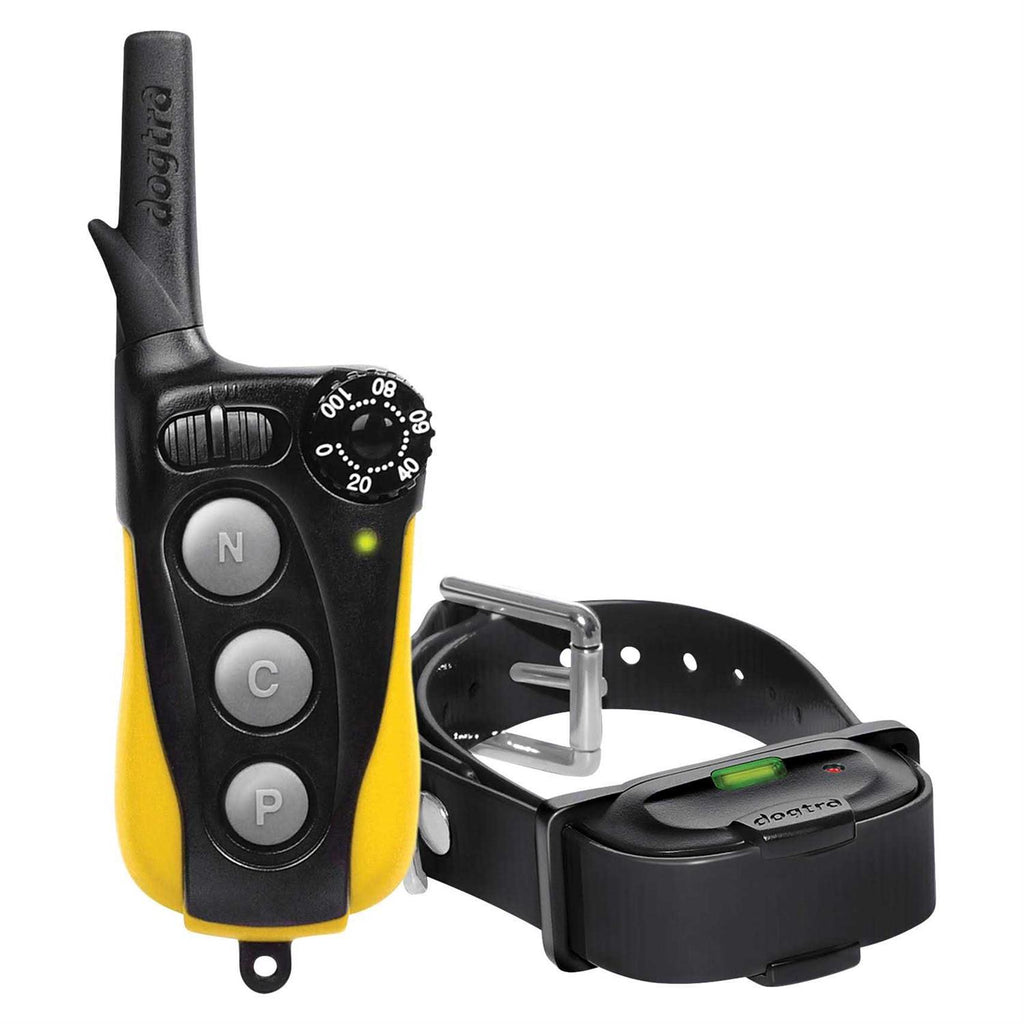 Dog Training Collar O815