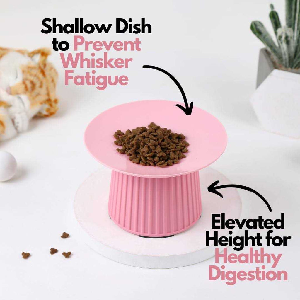 Elevated Cat Food and Water Bowl Set P9443