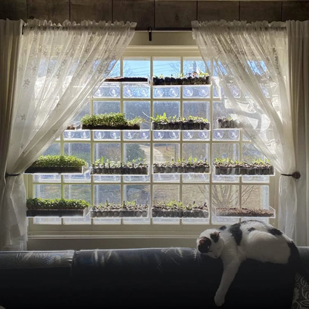Clear Acrylic Window Shelf for Plants U59304