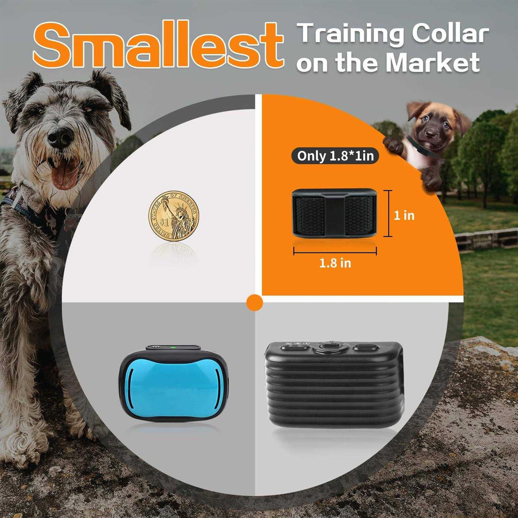 Dog Training Collar with Remote M19869
