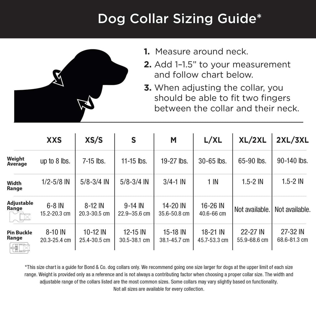 Reflective Dog Collar Y3352