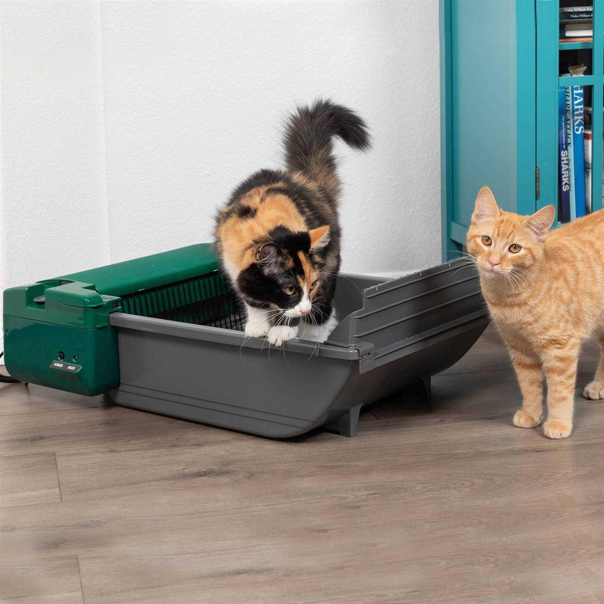 Automatic Cat Litter Box P17701