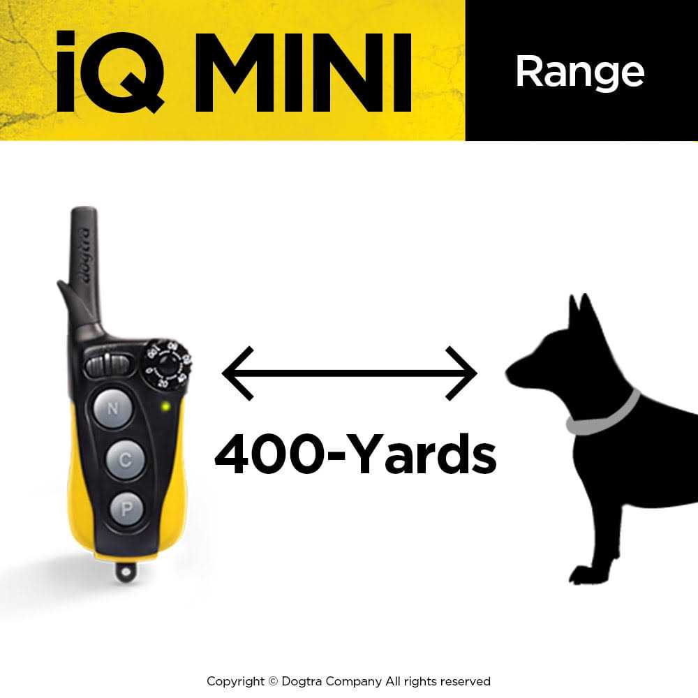 Dog Training Collar O815