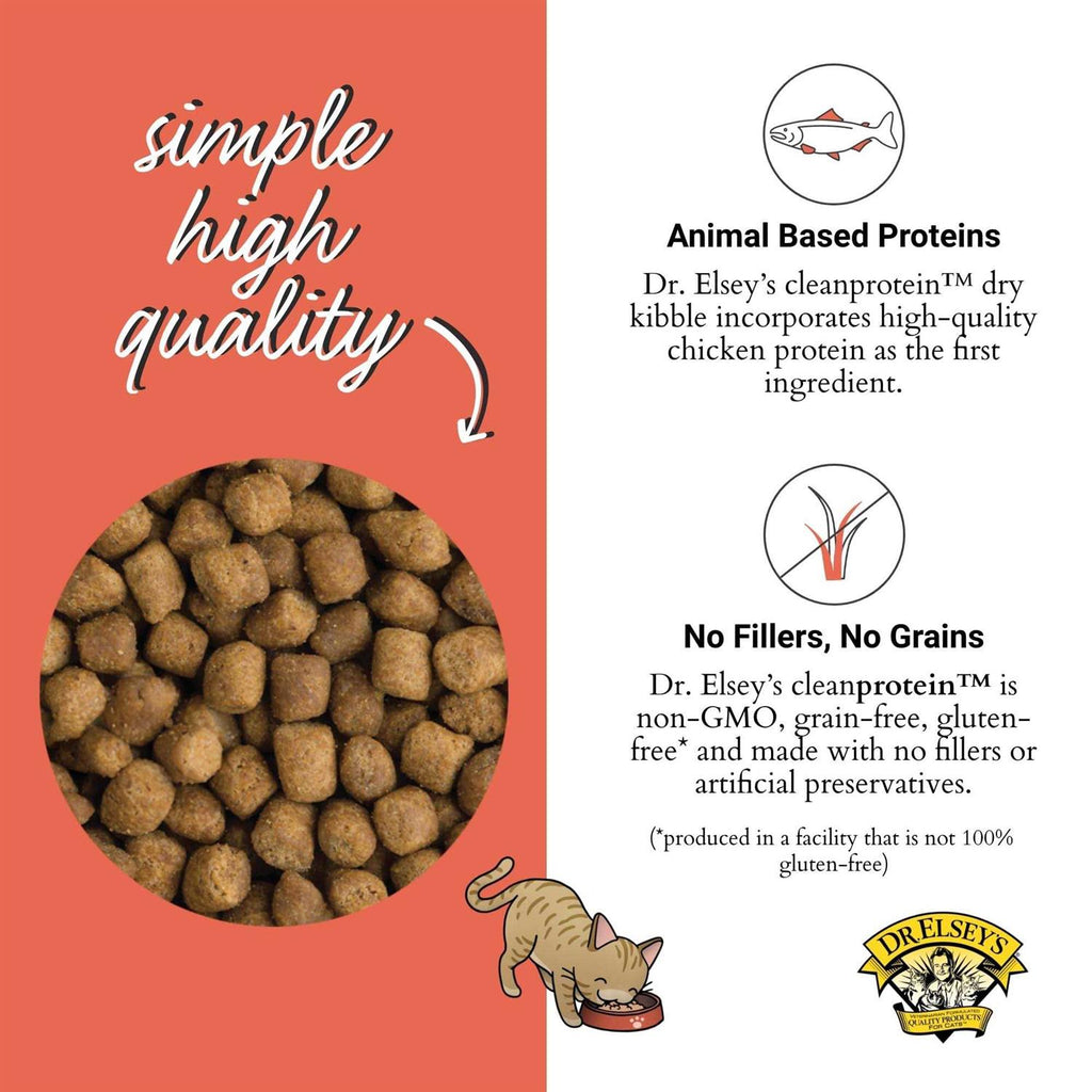 Salmon Dry Cat Food Q883555